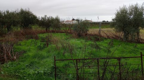 Foto 3 de Casa o chalet en venta en Don Benito, Badajoz