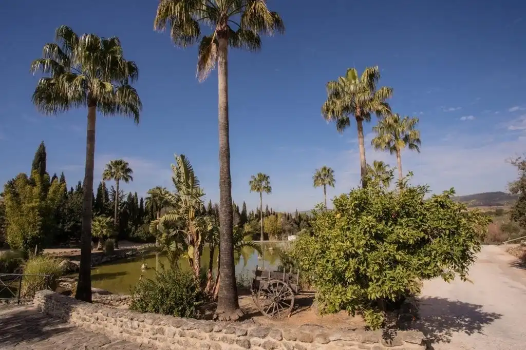 Jardí de Finca rústica en venda en Arcos de la Frontera amb Calefacció, Terrassa i Traster