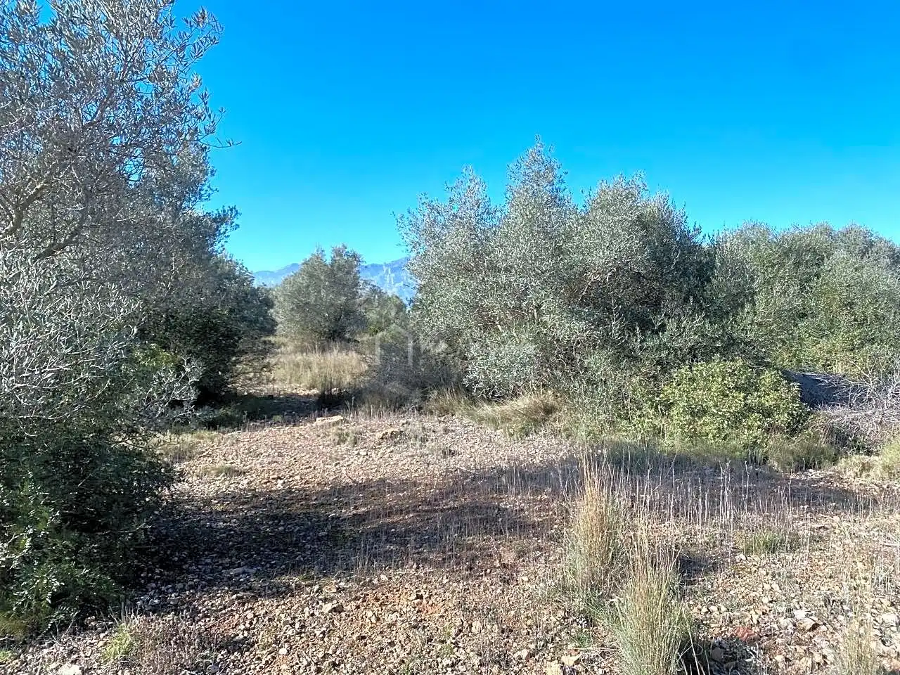 Terreno rustico in vendita a Pas de Berenguer, imagen 22