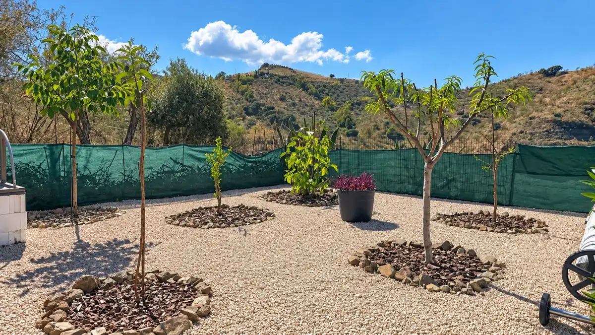 Terrassa de Casa o xalet en venda en Colmenar amb Aire condicionat, Jardí privat i Terrassa