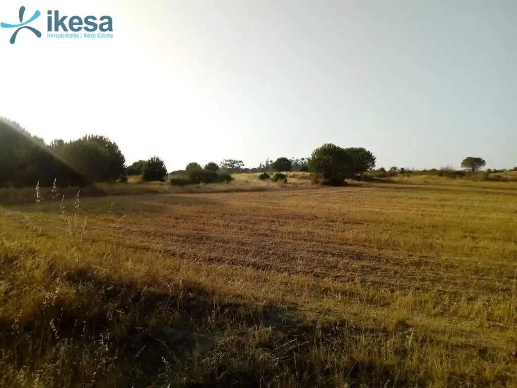 Lands and plots for sale in Lepe, imagen 4
