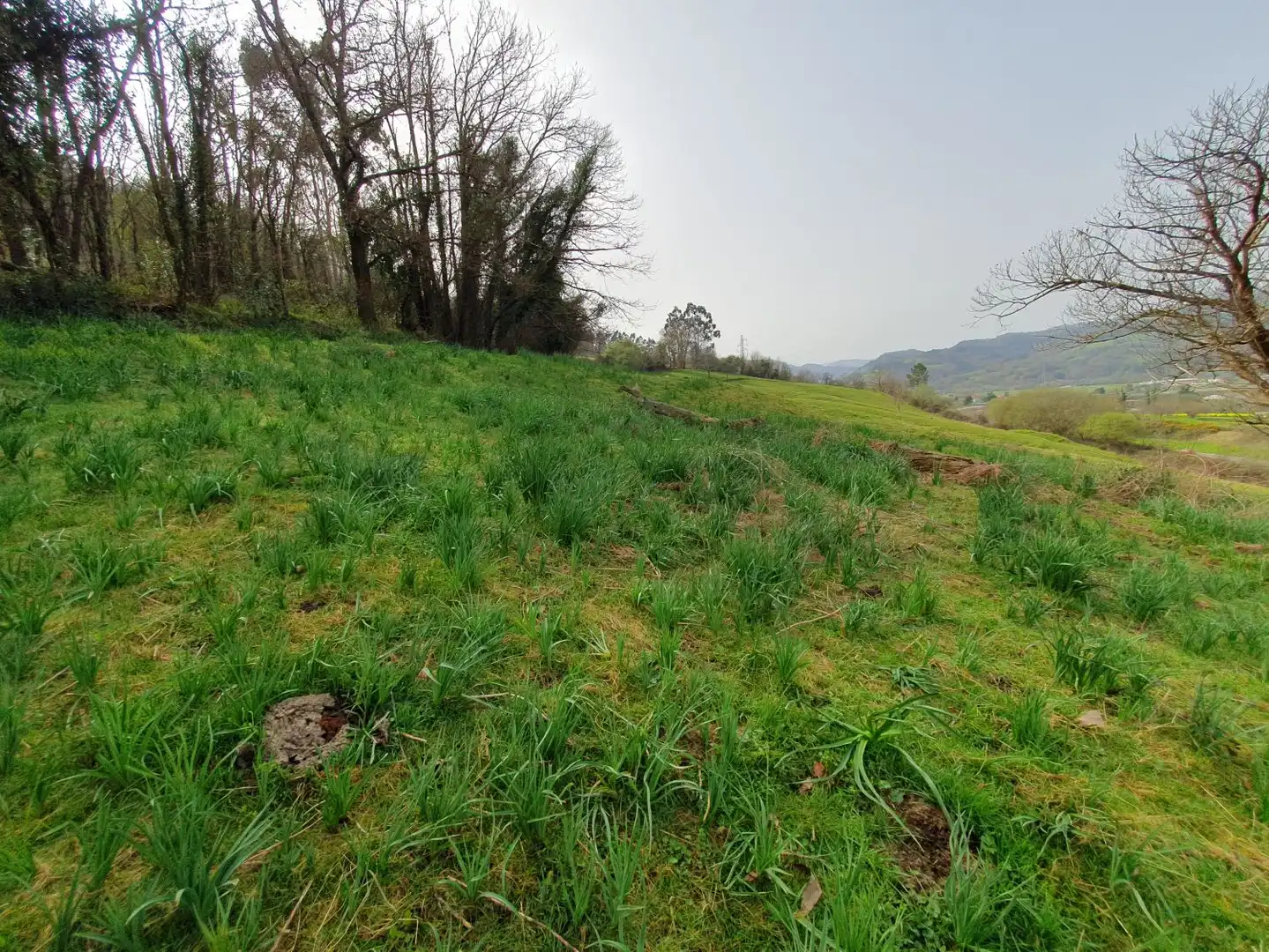 Maison rustique à vendre à Grado, imagen 23