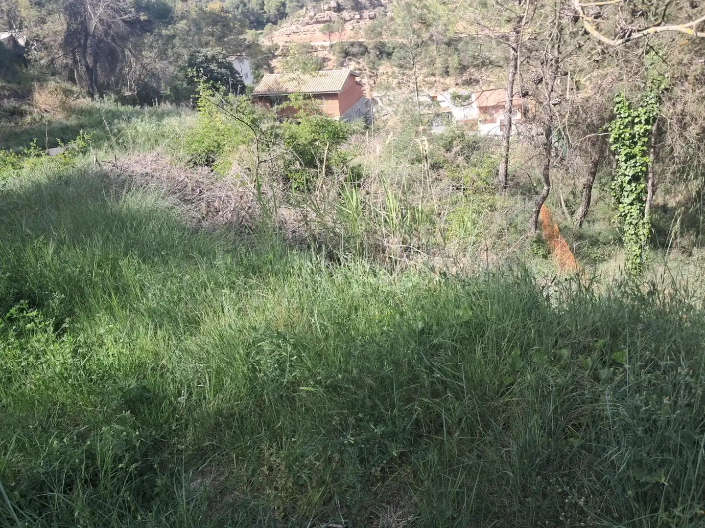 Terrenys i solars en venda a La Pobla de Claramunt, imagen 2