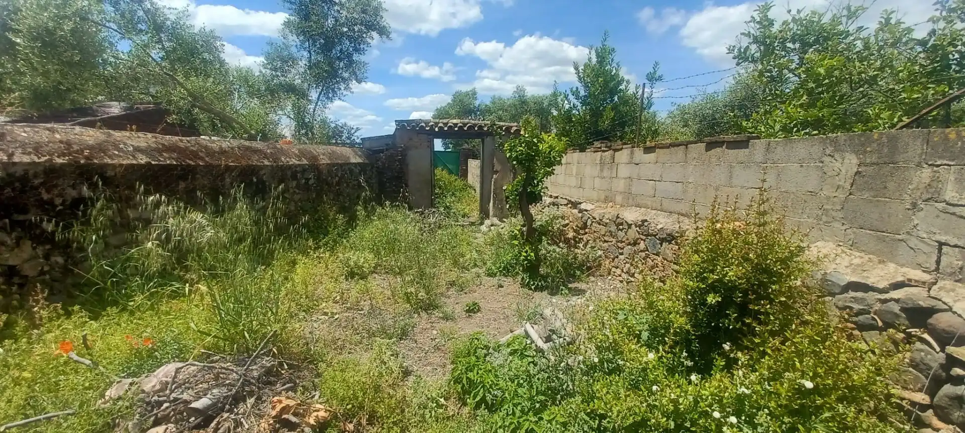 Haus zum Verkauf in Castilblanco de los Arroyos, imagen 20
