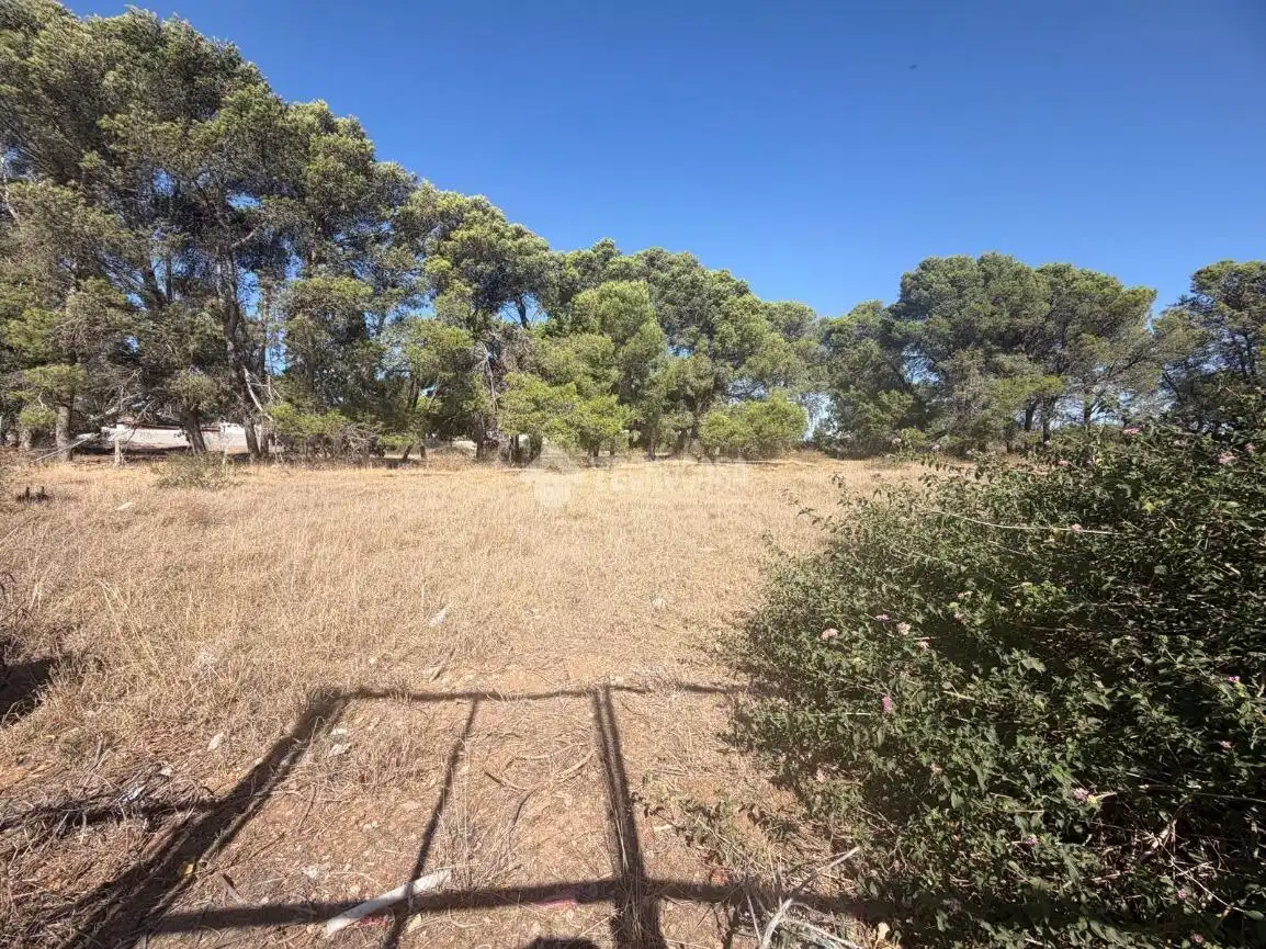 Terreny rústic en venda a Los Franceses – La Vega, imagen 17