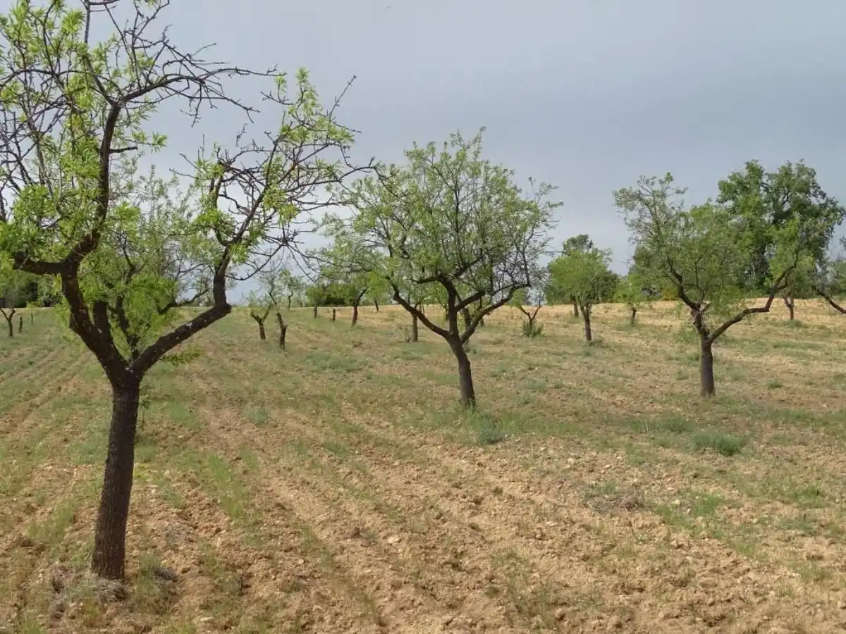 Finca rústica en venta en Cretas