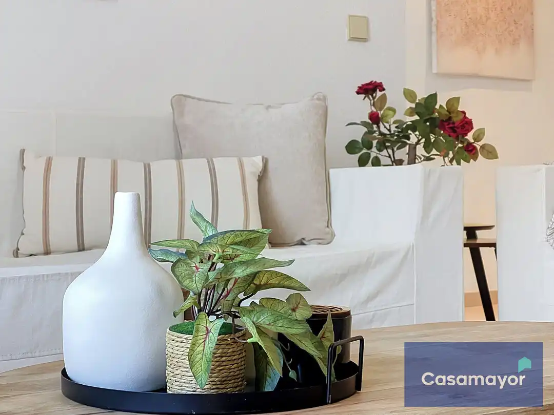 Sala d'estar de Pis en venda en Alicante / Alacant amb Jardí privat, Terrassa i Traster