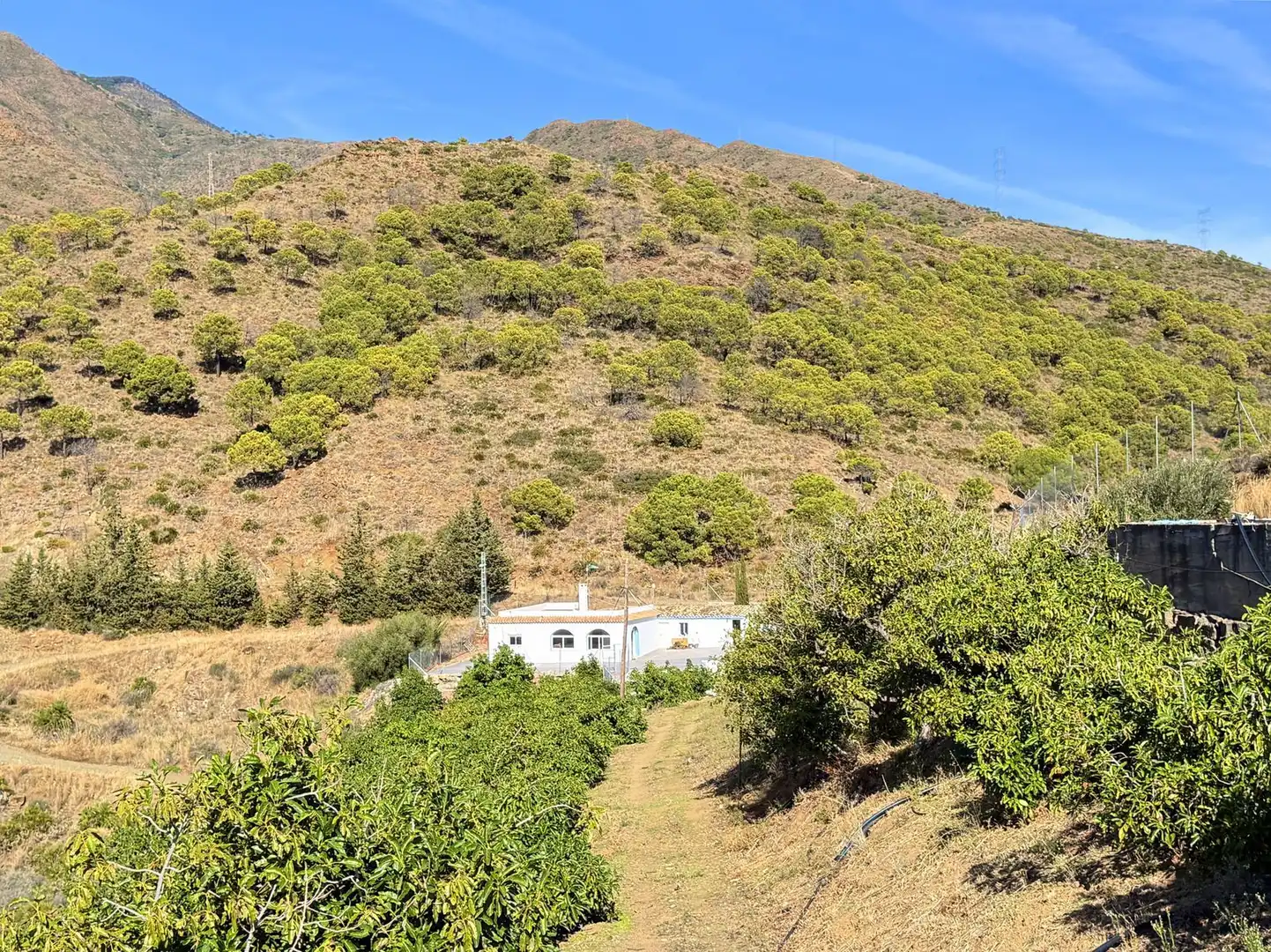 House with pool for sale in Avenida España, imagen 34