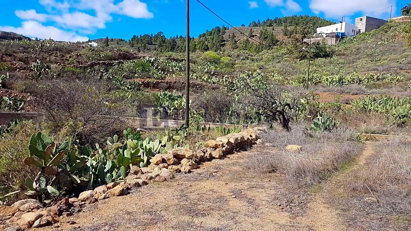 Country homes for sale in Granadilla de Abona  with Private garden