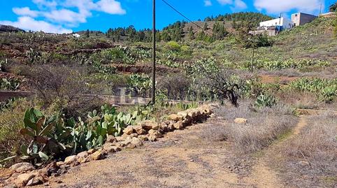Foto 2 de Finca rústica en venda a Granadilla de Abona ciudad, Granadilla de Abona