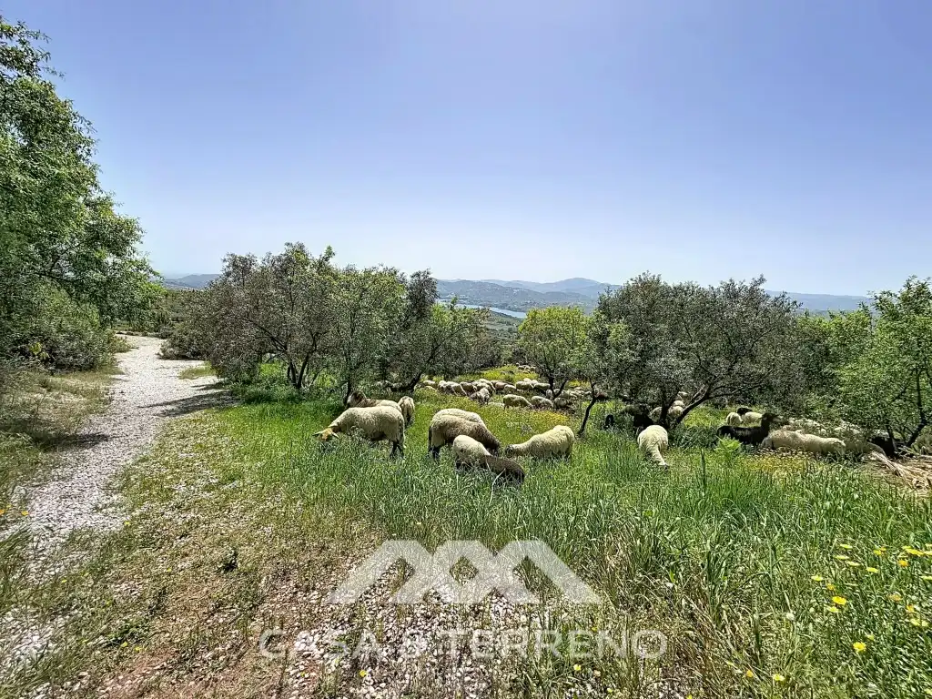 Casa o chalet en venta en Alcaucín con Aire acondicionado, Calefacción y Jardín privado