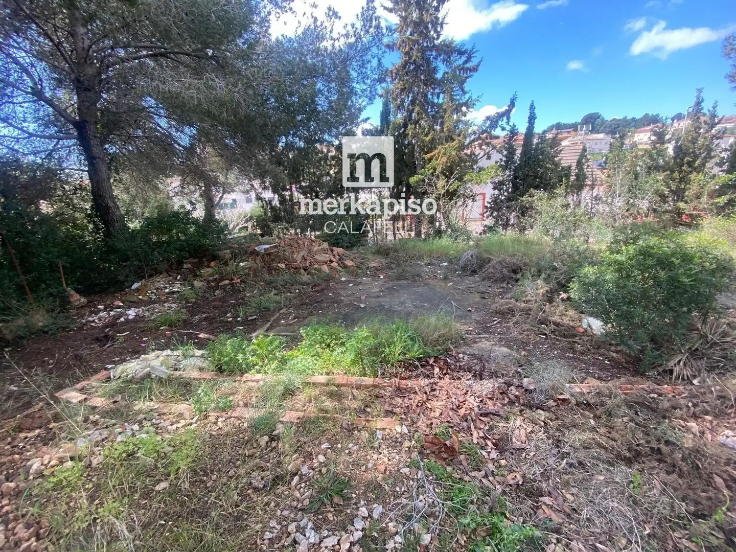 Terreny rústic en venda a Valldemar - Montmar, imagen 20