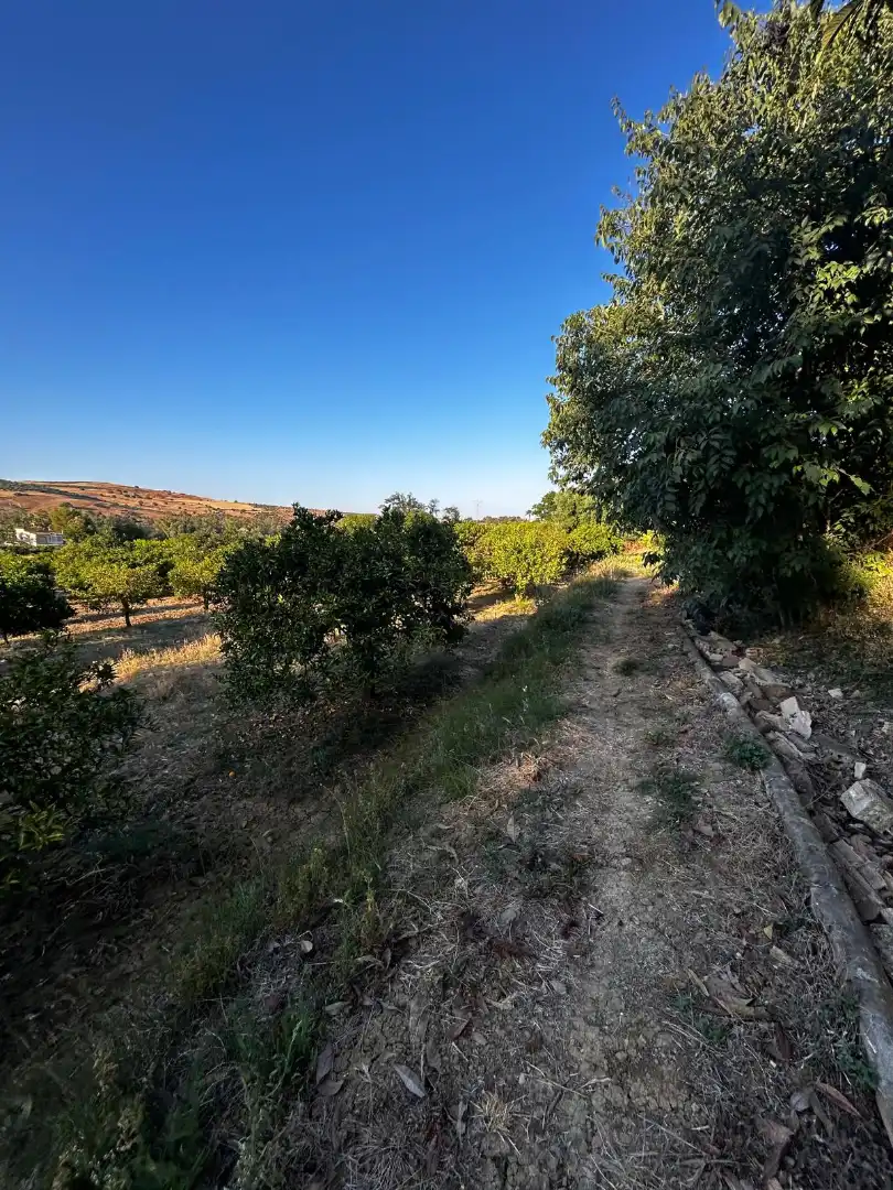 Terrenys i solars en venda a Coín, imagen 15