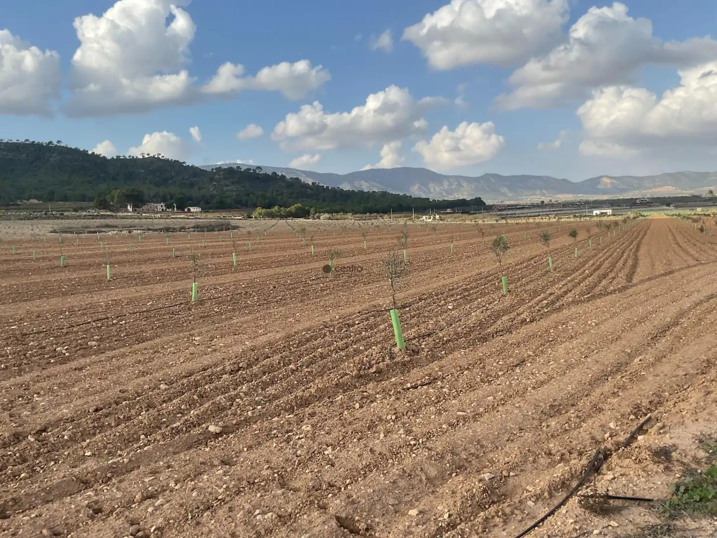 Rustikales Grundstück zum Verkauf in Salinas, imagen 11