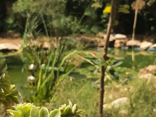 Villa con giardino in vendita a Carrer Nou 10, imagen 10