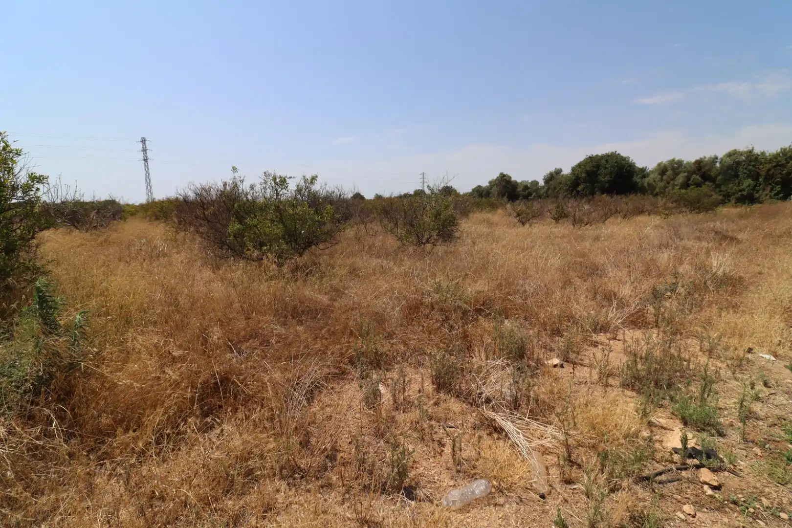 Terreno rustico in vendita a Alcanar, imagen 5