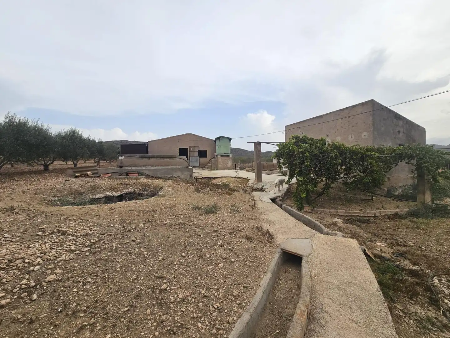 Casa rústica en venta en Polígono 34 Paraje 609 EL MINGRANO, imagen 21