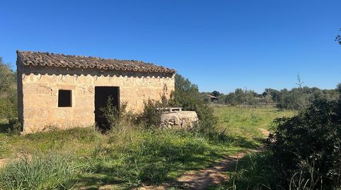 Foto 2 von Grundstücke zum Verkauf in Marratxinet, Marratxí