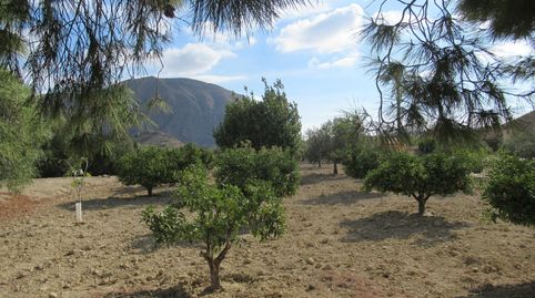Foto 3 de Finca rústica en venta en Rebolledo, Alicante / Alacant