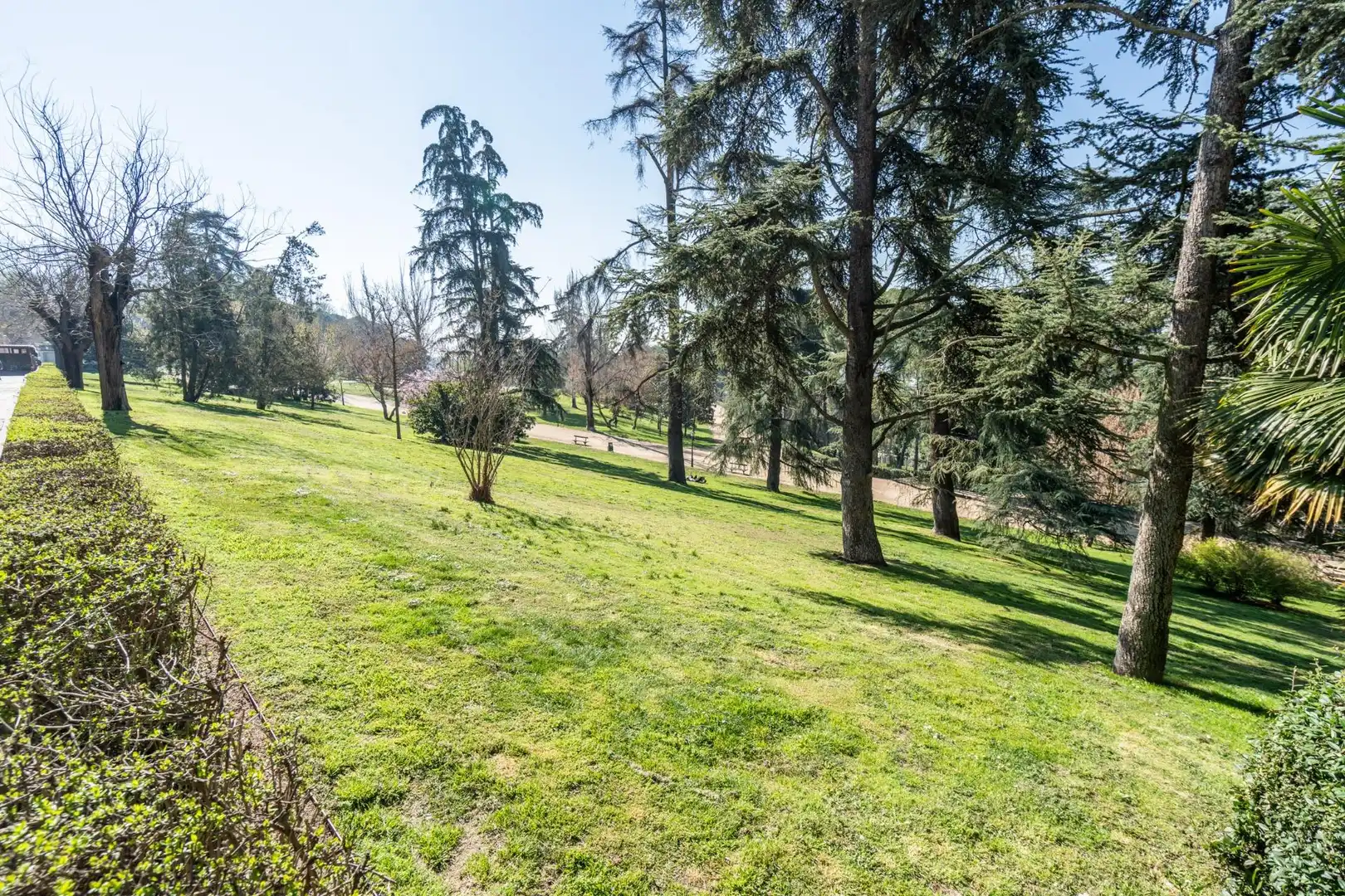 Commercial properties for sale in Madrid