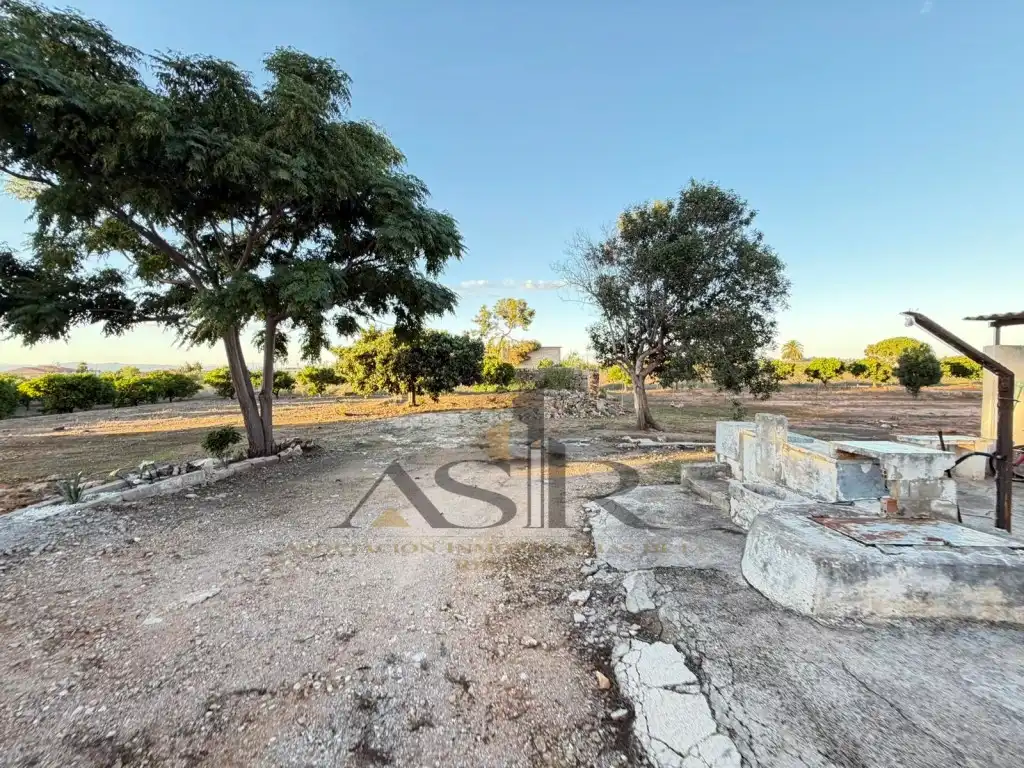 Chalet en venta en Carrer Forn de Carrascosa, imagen 16