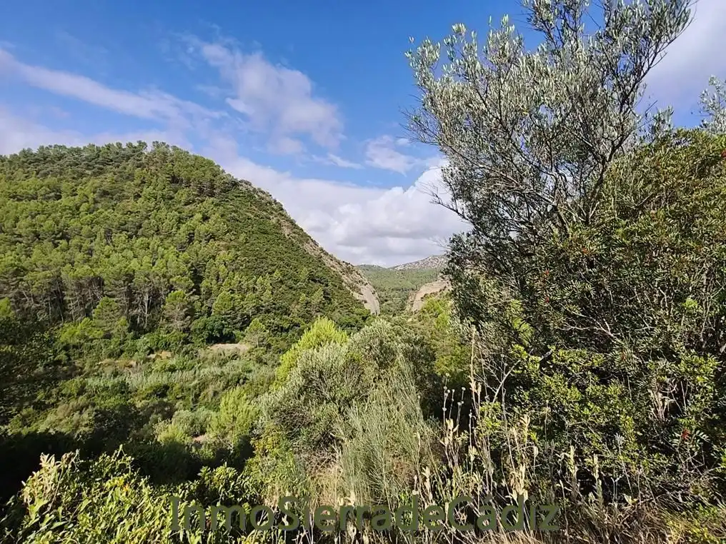 Vista exterior de Finca rústica en venda en Algodonales