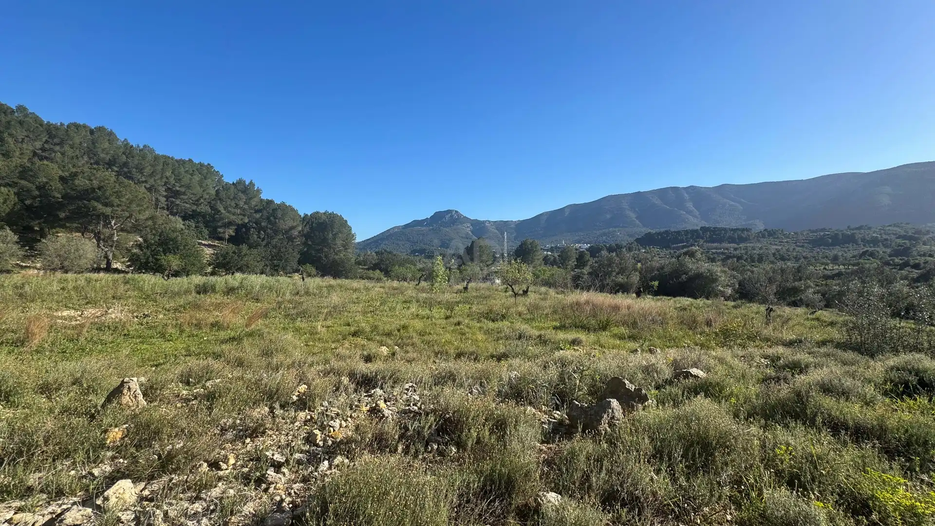 Residential for sale in Murla
