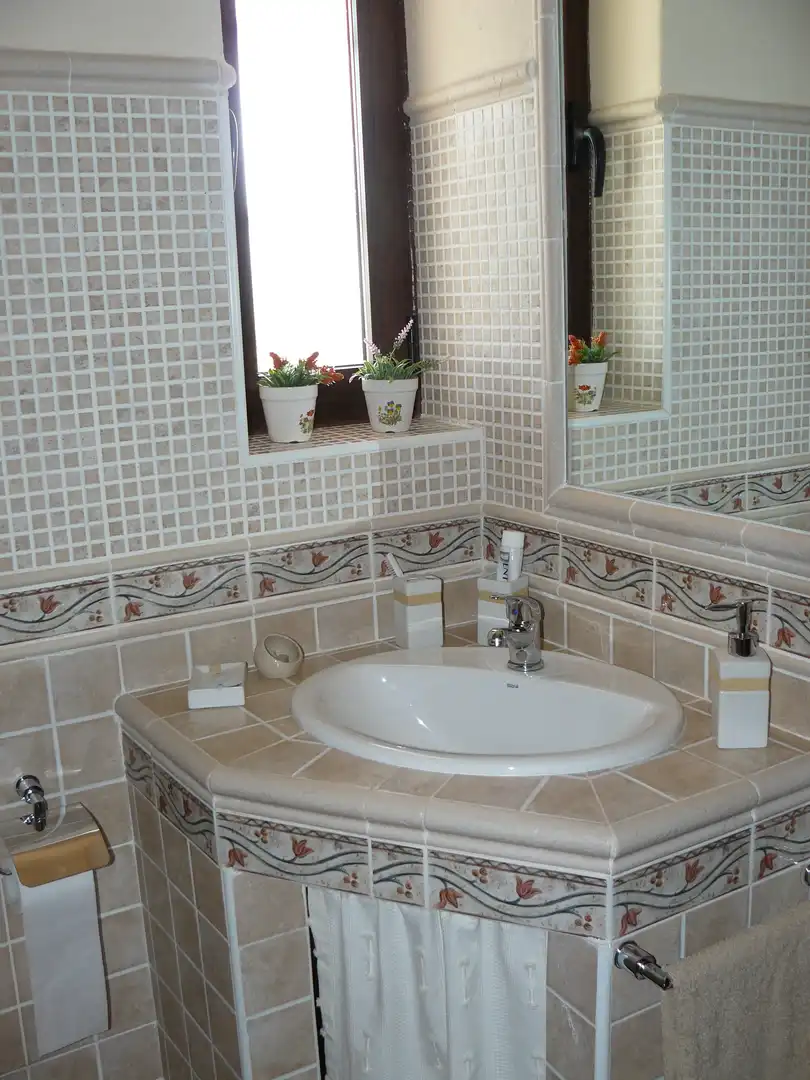 Bathroom of Country homes for sale in Archidona  with Terrace, Storage room and Furnished