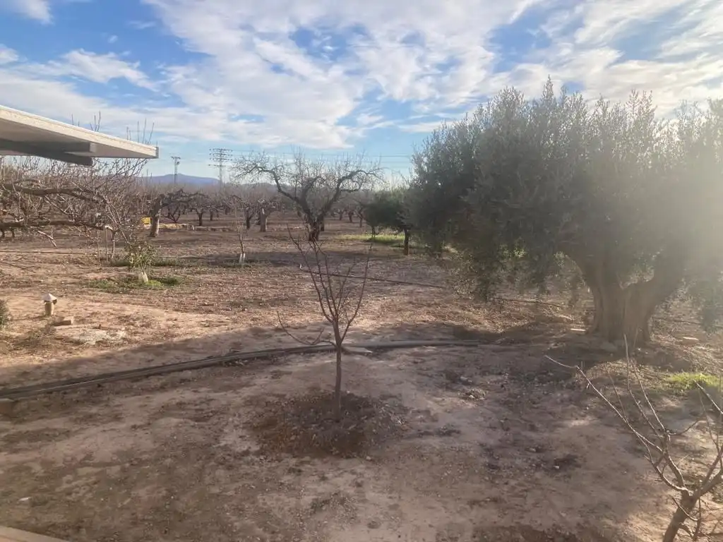 Casa o xalet en venda en Fuente Álamo de Murcia amb Jardí privat i Traster