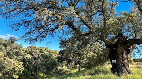 Foto 4 de Finca rústica en venda a Santa Cruz del Retamar pueblo, Toledo