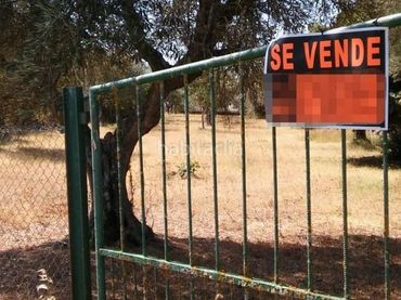 Rural land for sale in Plaza Mayor 1