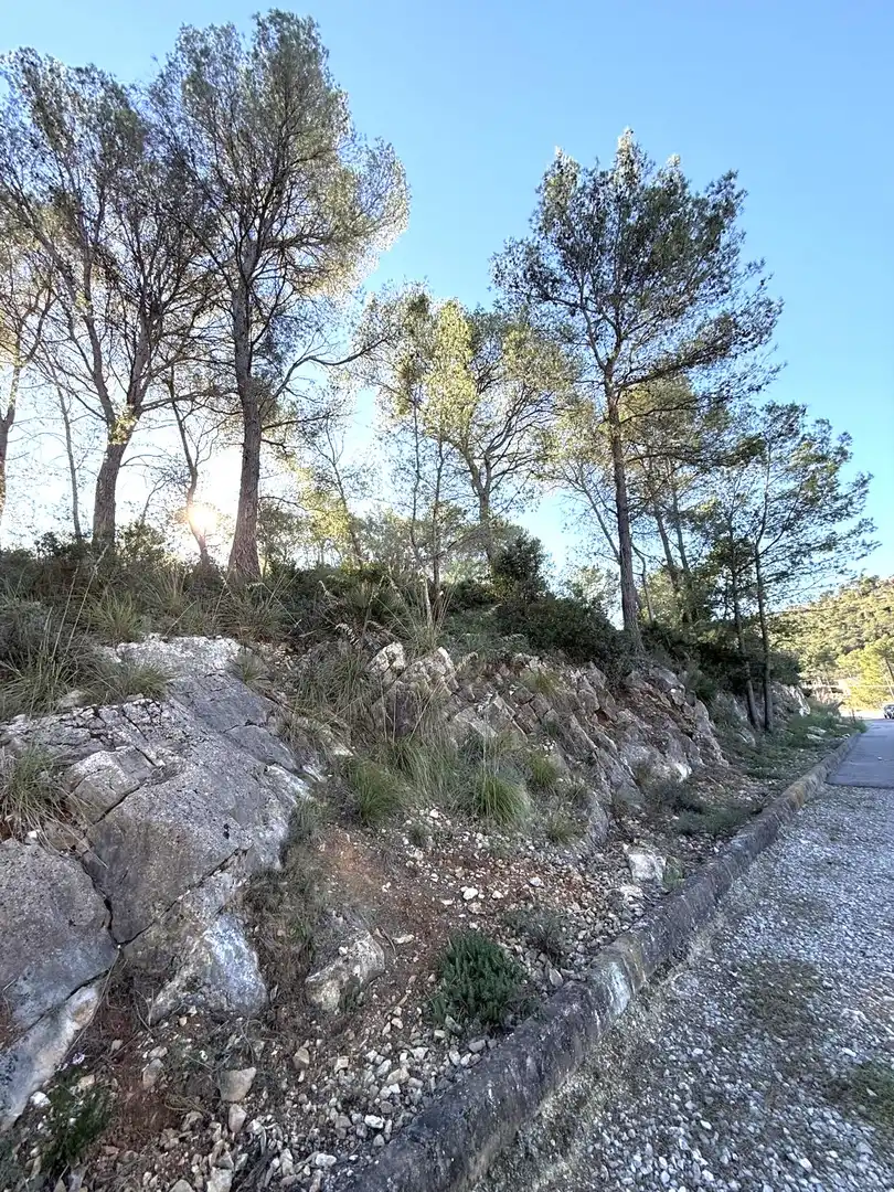 Terreno residencial en venta en Canyelles, imagen 3