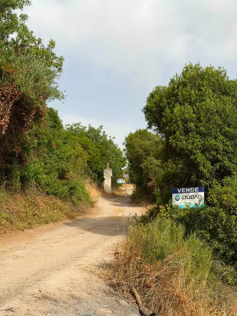 Rural land for sale in Polígono Morón de la Frontera, imagen 4