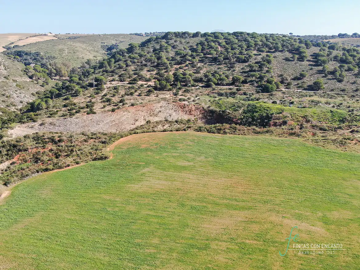 Terreno rustico in vendita a Arcos de la Frontera, imagen 20