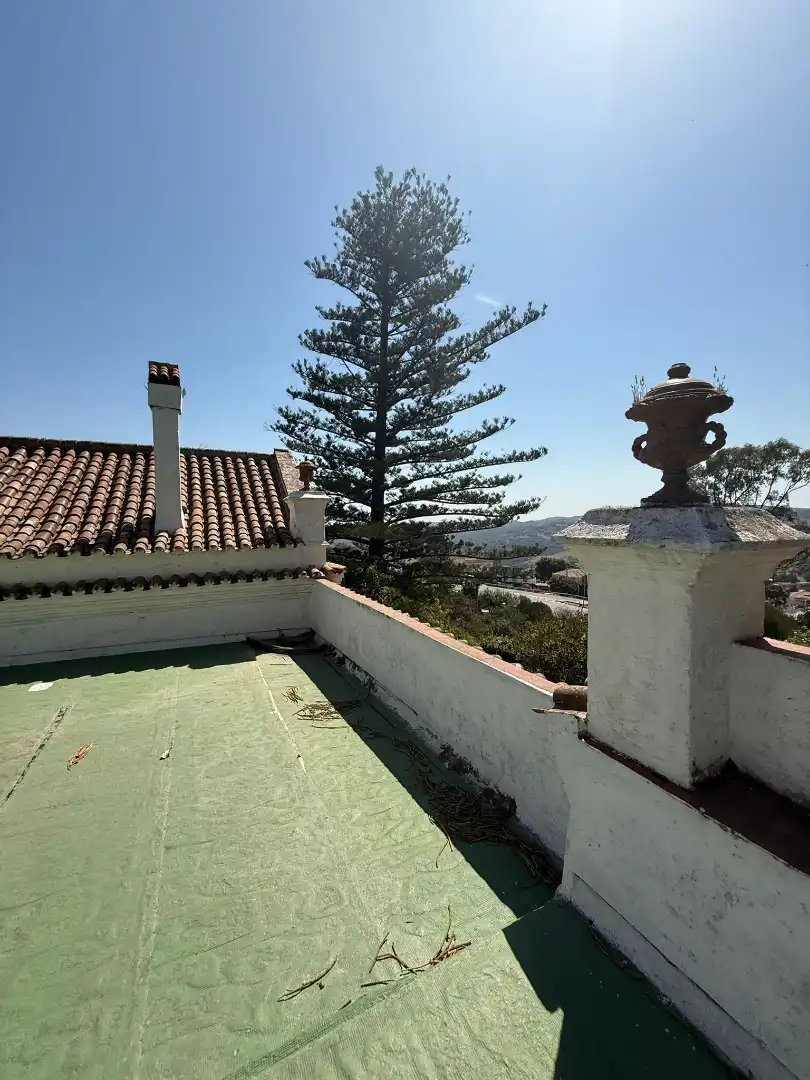 Vista exterior de Casa o chalet en venta en Algeciras con Jardín privado, Terraza y Piscina