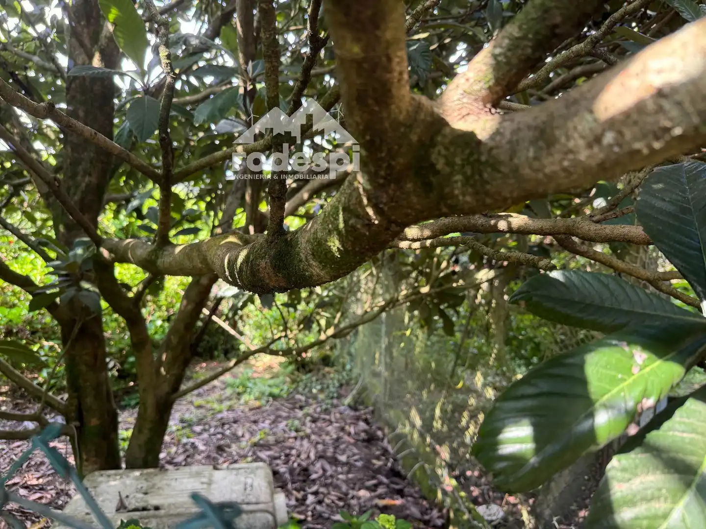 House for sale in A Cañiza, imagen 47