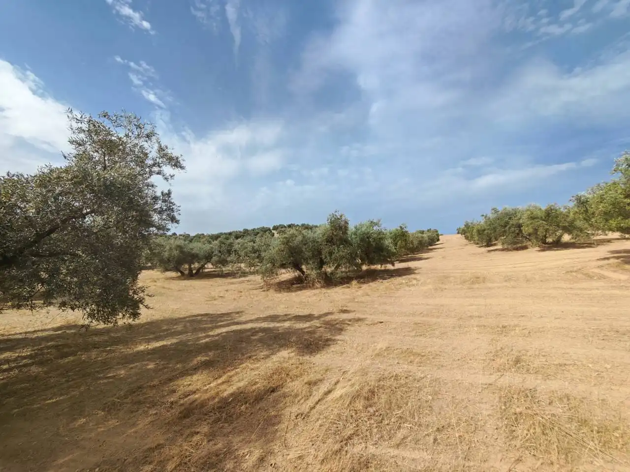 Land for sale in Salar