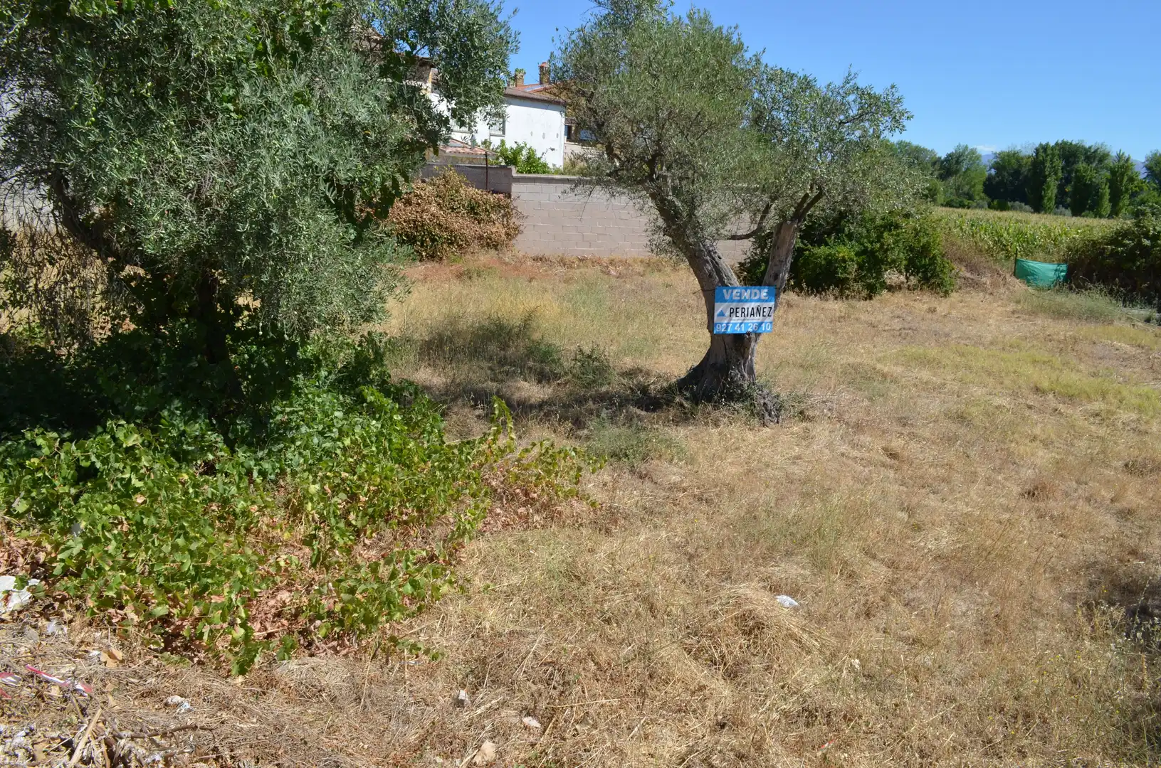 Terreni e lotti in vendita a Carcaboso, imagen 2