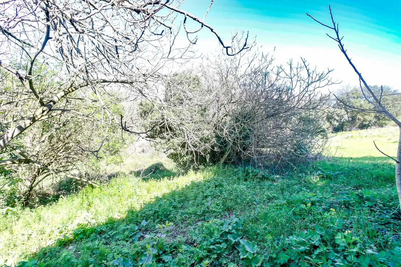 Finca rústica en venta en Sant Antoni de Vilamajor