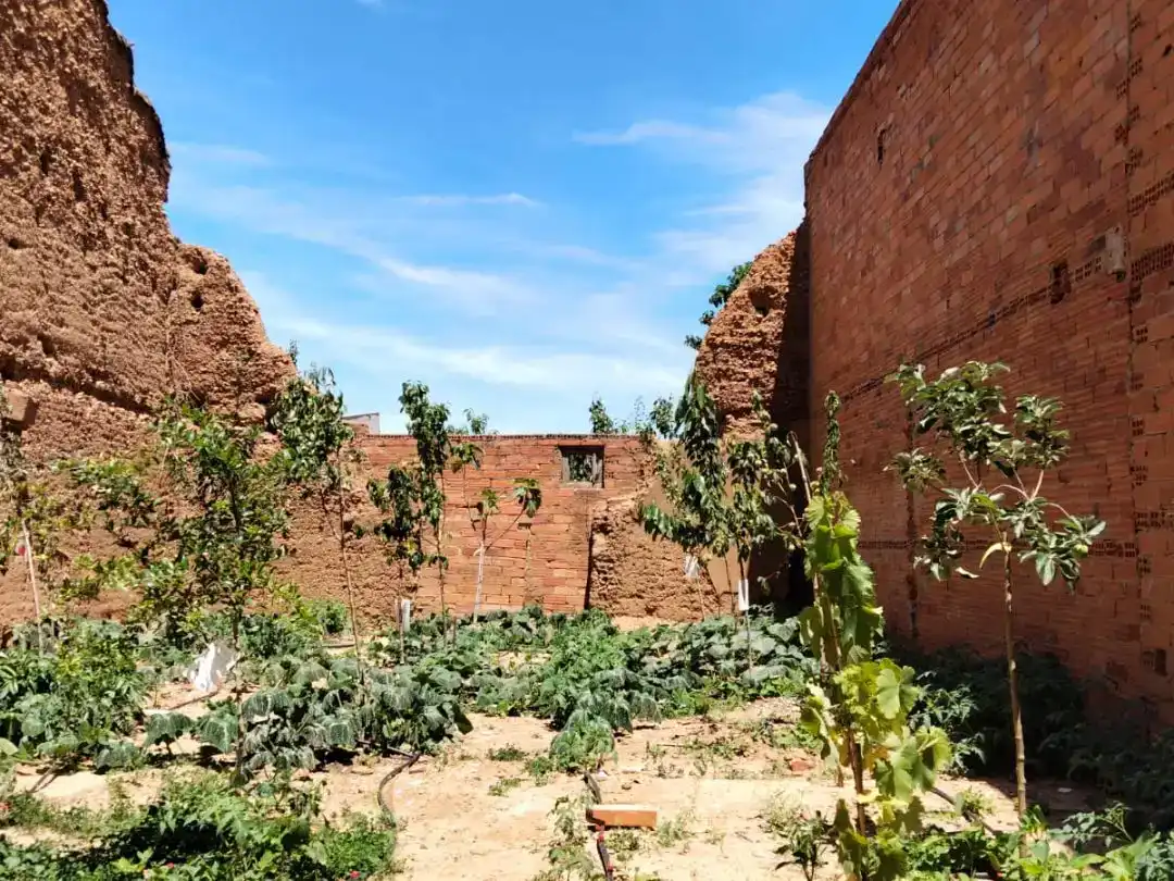 Jardín de Finca rústica en venta en Villazala