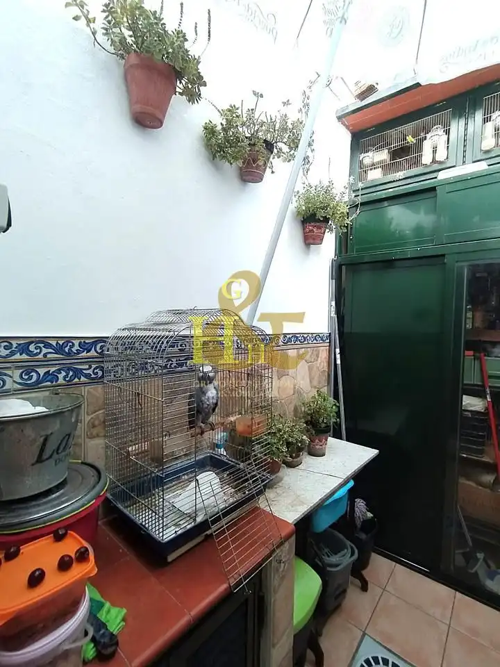 Terraza de Casa o chalet en venta en Sanlúcar de Barrameda
