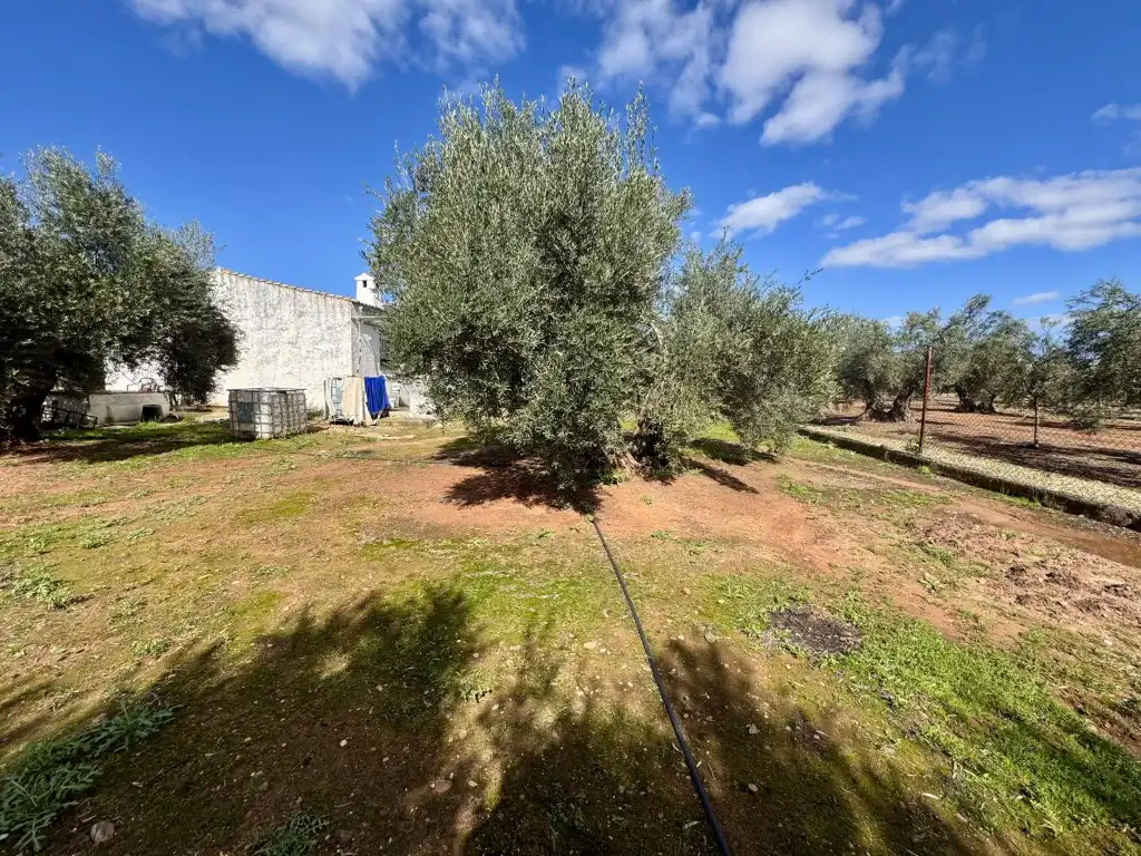 Residencial en venda a Diseminados Dehesilla(Huertas Extr)La, Andújar