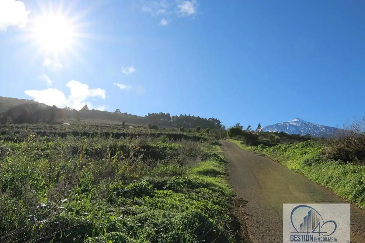 Vista exterior de Finca rústica en venta en Los Realejos