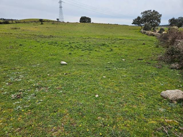 Terreno en Venta en Navas del Madroño