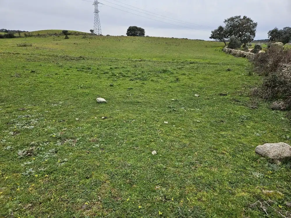 Terreni e lotti in vendita a Navas del Madroño