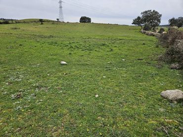 Terreno rústico en venta en Navas del Madroño