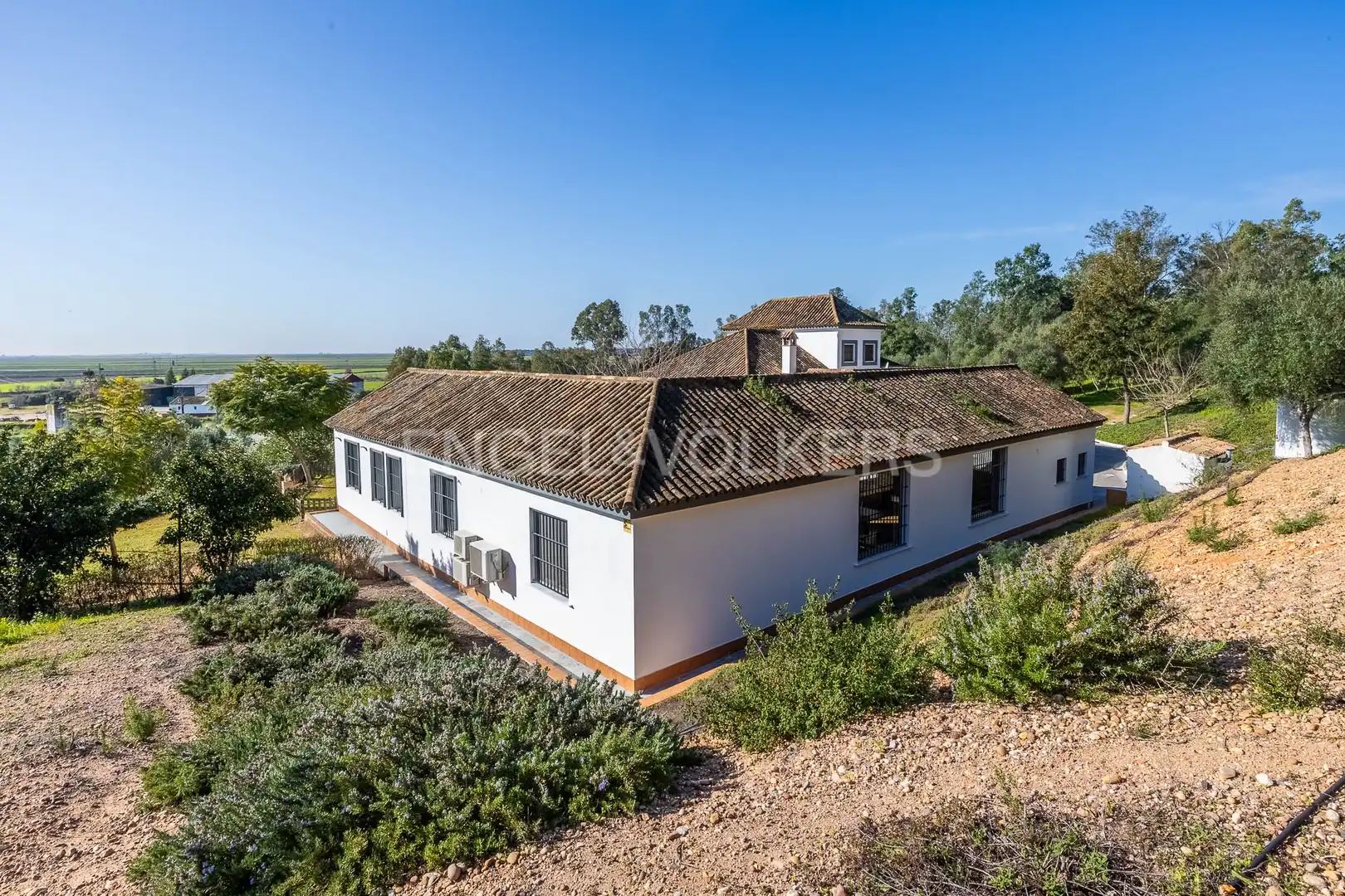 Landhaus mit Terrasse zum Verkauf in La Puebla del Río, imagen 9