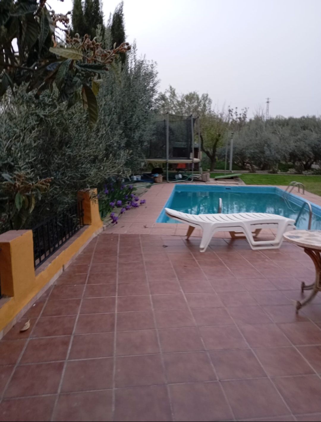 Piscina de Casa o xalet en venda en Guadix amb Aire condicionat, Jardí privat i Terrassa