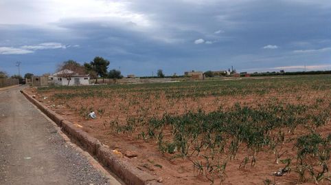 Venta finca rústica de uso agrario en la huerta de MoncadaValencia,22.230m2, vivienda, picadero, y 6 boxes para caballos. Precio 2
