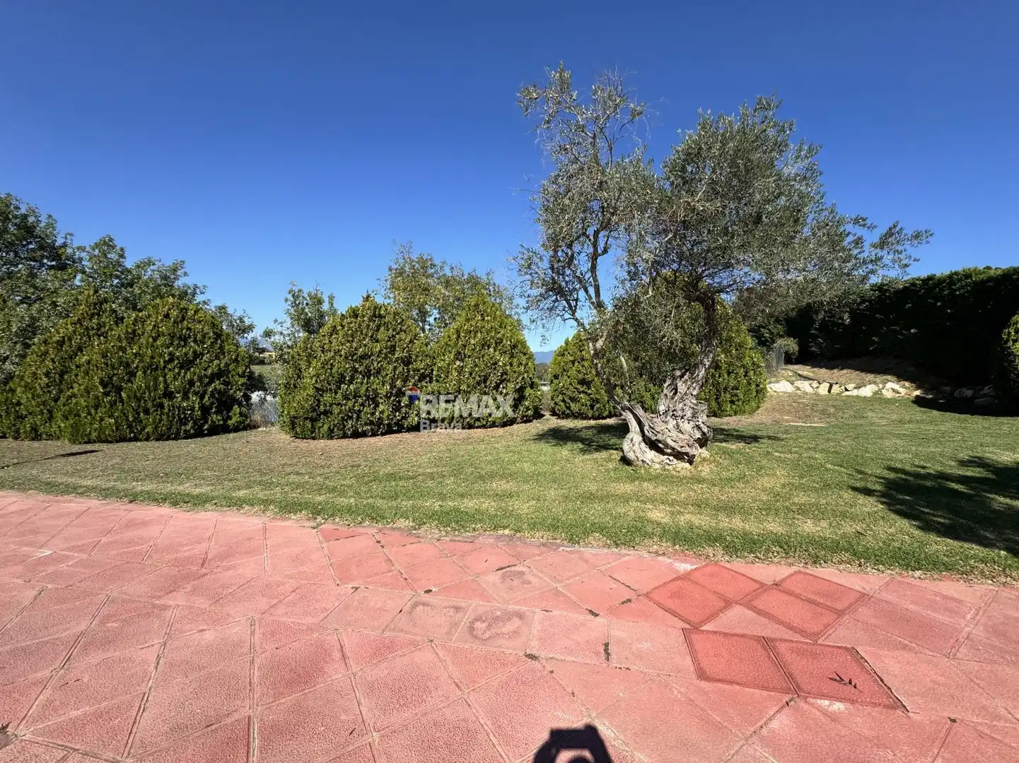Lands and plots for sale in Calle CL FELIP L ARDIT